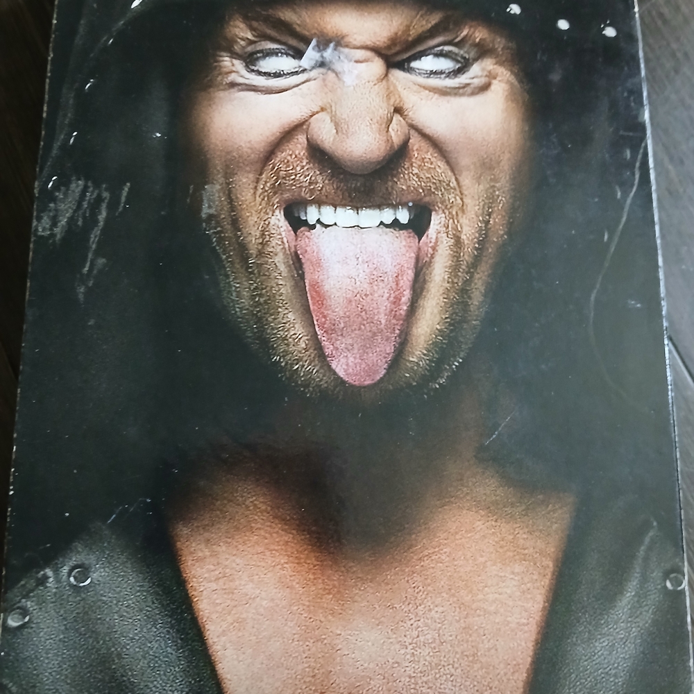 The Undertaker The Streak Matches 4 Disc Set